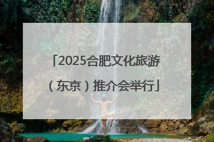 2025合肥文化旅游（东京）推介会举行