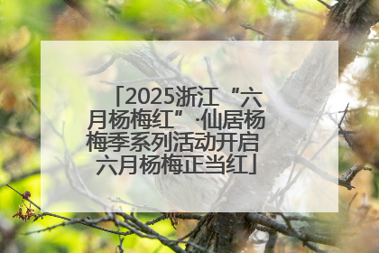 2025浙江“六月杨梅红”·仙居杨梅季系列活动开启 六月杨梅正当红