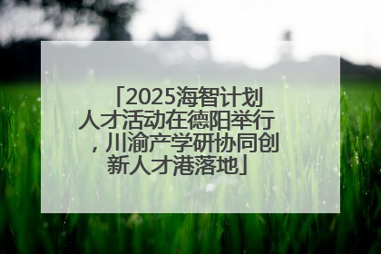 2025海智计划人才活动在德阳举行，川渝产学研协同创新人才港落地