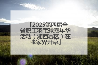 2025第四届全省职工羽毛球嘉年华活动（湘西赛区）在张家界开幕