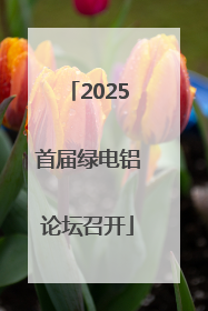 2025首届绿电铝论坛召开