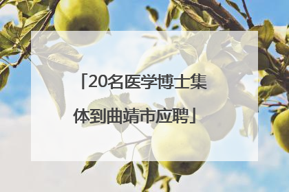 20名医学博士集体到曲靖市应聘