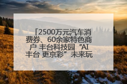 2500万元汽车消费券、60余家特色商户 丰台科技园“AI丰台 更京彩”未来玩家市集活动正式开幕