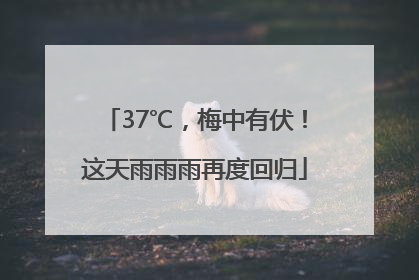 37℃，梅中有伏！这天雨雨雨再度回归