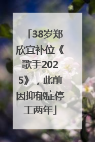 38岁郑欣宜补位《歌手2025》，此前因抑郁症停工两年