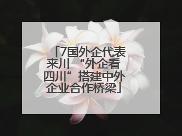 7国外企代表来川 “外企看四川”搭建中外企业合作桥梁
