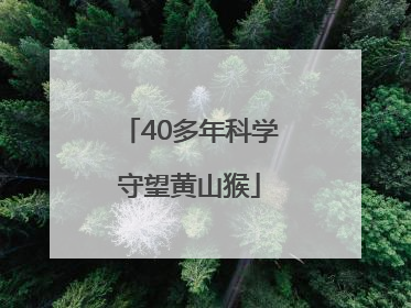 40多年科学守望黄山猴