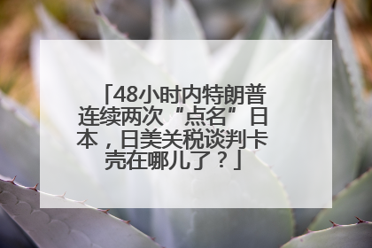 48小时内特朗普连续两次“点名”日本，日美关税谈判卡壳在哪儿了？