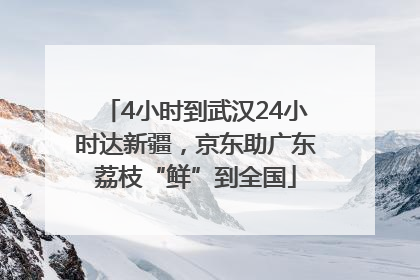 4小时到武汉24小时达新疆，京东助广东荔枝“鲜”到全国