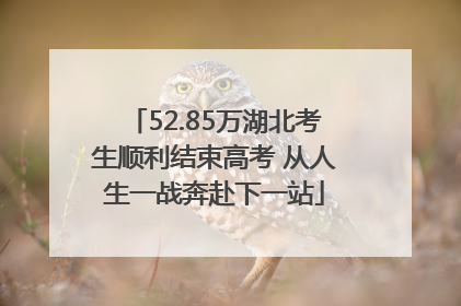 52.85万湖北考生顺利结束高考 从人生一战奔赴下一站