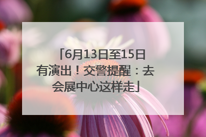 6月13日至15日有演出！交警提醒：去会展中心这样走