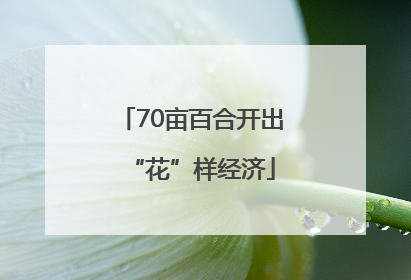 70亩百合开出“花”样经济