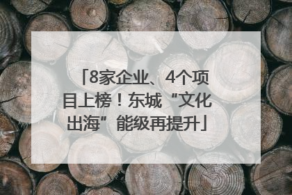 8家企业、4个项目上榜！东城“文化出海”能级再提升