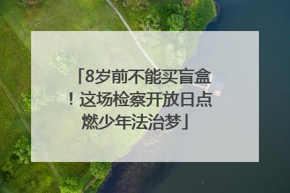 8岁前不能买盲盒！这场检察开放日点燃少年法治梦