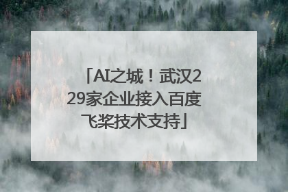 AI之城！武汉229家企业接入百度飞桨技术支持