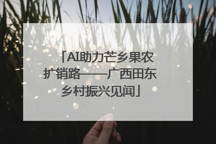 AI助力芒乡果农扩销路——广西田东乡村振兴见闻