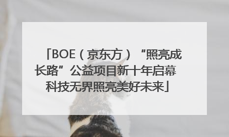 BOE（京东方）“照亮成长路”公益项目新十年启幕 科技无界照亮美好未来