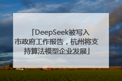 DeepSeek被写入市政府工作报告，杭州将支持算法模型企业发展