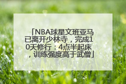 NBA球星文班亚马已离开少林寺，完成10天修行：4点半起床，训练强度高于武僧